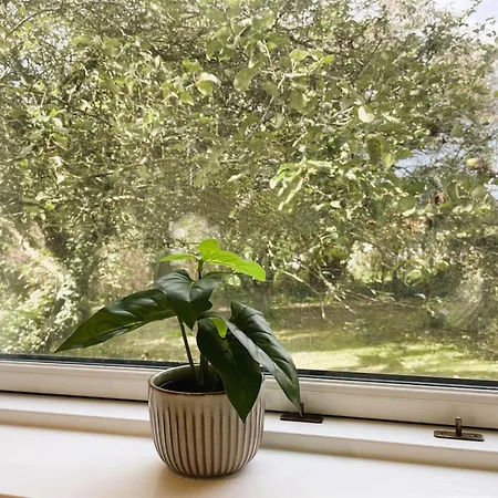 Dana - 525m From The Sea By Interhome Prázdninový dům